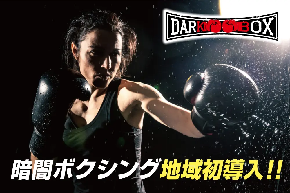 ホット&ダークスタジオ